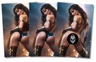 Wonder Woman M  3 Book Set   - Ltd 100 W  Matching Coas  Deviant Nation Art Book