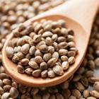 100  Pure Roasted Hemp Seeds Gluten Free Non Gmo Organic Grown