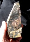 Large Lower Cambrian Olenellus Trilobite With Colorful Pink Matrix   Dendrites 
