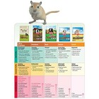Kaytee Forti-diet Pro Health Guinea Pig Food Supports Dental   Good Digestion