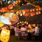 Picture Hanging Wire  2 100-feet Braided Picture Wire Heavy For Photo Picture