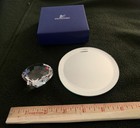 Seashell Clamshell Scallop 2 Inch