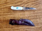 Bone Handle Fixed Blade Hunting Knife Blue Inlay  Ss Clip Point  Sheath