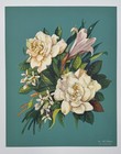 Vintage Floral Print White Roses Lilies M De Longe 8x10 Teal Background