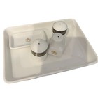 British Airways Concorde Royal Doulton Droop Nose Rectangle Tray Set