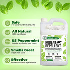 Mighty Mint 1 Gallon Mice Rat Rodent Repellent Spray  All Natural Peppermint Oil