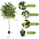 6ft Faux Lemon Tree With Vivid Leaves And Realistic Lemons For Front Porch Decor