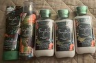 Bath   Body Works Fairytale 5 Piece Moisturizing Lotion Cream Mist