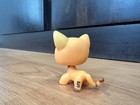 Littlest Pet Shop  1643 Shorthair Cat Orange Yellow