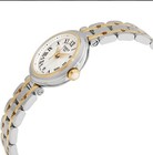 Tissot Bellissima Small Quartz White Dial Ladies 26mm Watch  T126 010 22 013 00