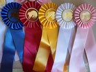 1st - 5th Flowing Mane Horse Show Ribbons Awards Equestrian Events 11 Classes