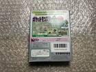 Pokemon Green Nintendo Gameboy Japanese Version
