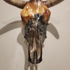 Native American  Indian Hand Painted Steer Skull