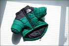 Winter Dog Jacket For Small Medium Dogs  Warm Thick Down Vest Puppy Coat