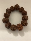 Nepalese 5 Mukhi Rudraksha Panch Mukhi Rudraksh Beads Bracelet Wrist Band Yoga