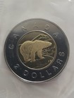 Canada 1999 Uncirculated Coin Set 7 Coins  Polar Bear  2 Coin   