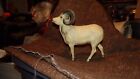 Breyer Dall Bighorn Sheep White Grey Horns 1970-1973  85 Vintage Great Shape