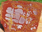 Tcr Noreena Jasper agate lapidary Rough Slab 345 Grams