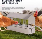 Stainless Steel Automatic Poultry Waterer With Float Valve