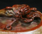 5 6  Old Chinese Natural Shoushan Stone Carving Dragon Turtle Inkstone Statue