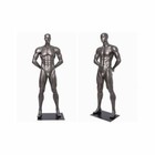 Male Football Player Mannequin - Muscular Sports Male Full Body Sports Mannequin