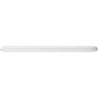 Qualatex 646q Latex Balloons   quality Twisting-count50 100 200 500 1000  Box 2500