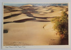 Oregon Coast Vintage Postcards Lot Of 5 Unused   Uncirculated