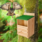 Owl House Owl Box With Bird Stand Design  Owl Nesting Box  Barn  Screech Houses 