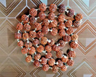 5 Mukhi Rudraksha Mala Nepal Beads In Pure Silver Cap 55 Beads Energized