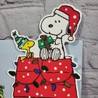 Hallmark Peanuts Christmas Card Snoopy Woodstock Glitter Matching Envelope New
