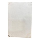 Antique 1900s Victorian Women Portrait Photograph Edwardian Lace Dresses