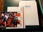 Secretariat 8 X 10 Photo   Color Triple Crown Winner   Conformation Photo
