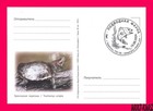 Transnistria 2024 Europa Nature Fauna Water Animal Amphibian Turtle Maxi Card Im