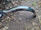 Schwinn Stingray Reproduction Rear Fender Vintage Muscle Bike Part