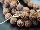 6mm Natural Round Brown Bodhi Rudraksha Beads - Tibetan Bodhi Buddhist Mala