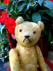 Antique 13  Mohair  Teddy Bear With Squeaker - No Ids-  Mohair