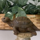 Vintage Tortoise Box Turtle Figurine Resin Faux Wood Detailed Reptile Figure 3 1