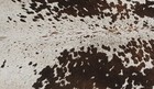New Cowhide Rugs Area Cow Skin Leather 20 22 Sq feet  56 x52   Cow Hide U-1336