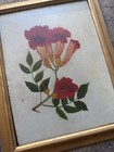 Pair Antique Victorian Botanical Oil Paintings F W Devoe Academy Board Floral