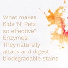 Kids    n    Pets All-purpose Stain   Odor Remover Spray 27oz
