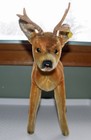 Vintage 1960 s Steiff 14 In  Roebuck Deer Ean 1335 00 Made In Germany
