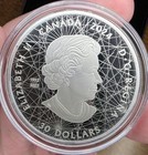 2024 Canada  30 Fine Silver Coin     Signs Of The Zodiac     2 Oz  9999 Silver Proof