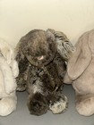 Lot Of 4 Jellycat Bashful Bunnies Dark Brown Cr  me Beige White Bunny Medium