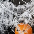 Fazhbary 50 Pcs Small Plastic Hallowen  Spiders 0 9 Inches X 1 5 Inches  Black