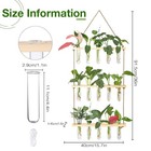 Wall Hanging Propagation Station With Wooden Stand 5 Glass Test Tubes 3 Tiers   