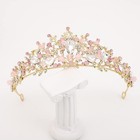 Kids Pink Crystal Tiara Girls Princess Costume Rhinestone Crown Small  