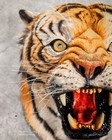 Taxidermy Animals For Sale replica 