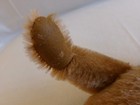 Steiff Margaret Strong Teddy Bear     Flaws On Paws     Ean 0156 18     1984 Only
