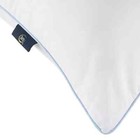 Serta Perfect Sleeper Comfy Sleep Eco-friendly Bed Pillow  2 Pack  Queen Size