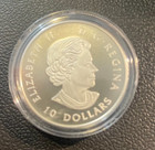 Canada  10 2017 Proof Silver 1 2 Oz   dog Sledding Under The Northern Lights 